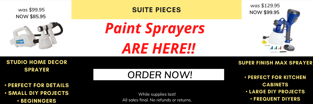 Super Finish Max Paint Sprayer - SuitePieces